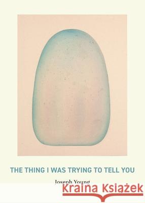 The Thing I Was Trying to Tell You Joseph Young 9781945028571 Publishing Genius Press - książka