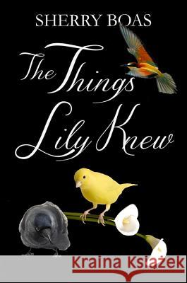 The Things Lily Knew: The Fourth in a Series Sherry Boas 9780983386674 Caritas Press - książka