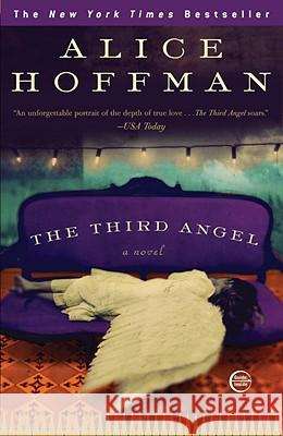 The Third Angel Alice Hoffman 9780307405951 Three Rivers Press (CA) - książka