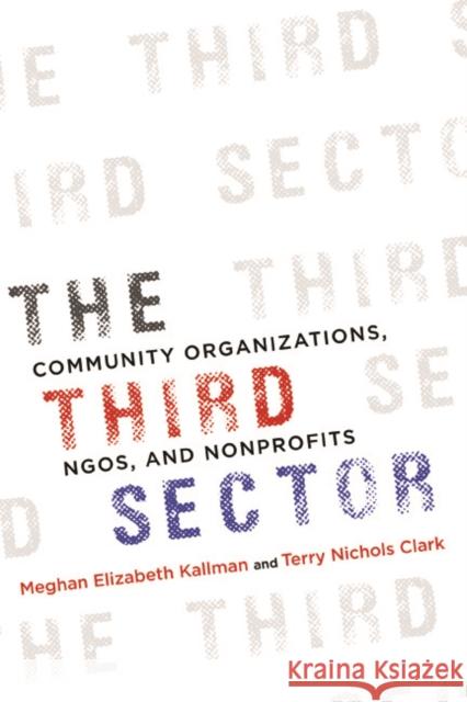 The Third Sector: Community Organizations, NGOs, and Nonprofits Meghan Kallman Terry Clark 9780252040436 University of Illinois Press - książka