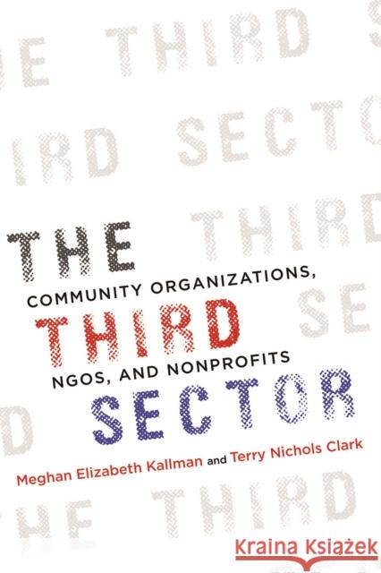 The Third Sector: Community Organizations, Ngos, and Nonprofits Meghan Kallman Terry Clark 9780252084294 University of Illinois Press - książka