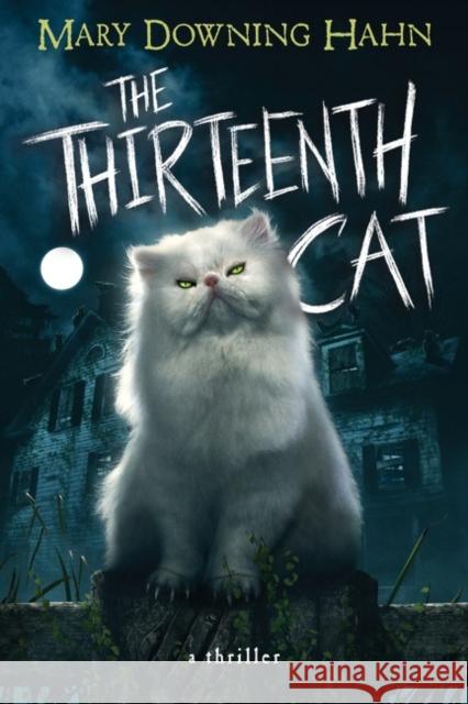 The Thirteenth Cat Mary Downing Hahn 9780358672517 HarperCollins - książka