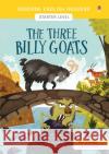 The Three Billy Goats Mairi Mackinnon 9781474959896 Usborne Publishing Ltd