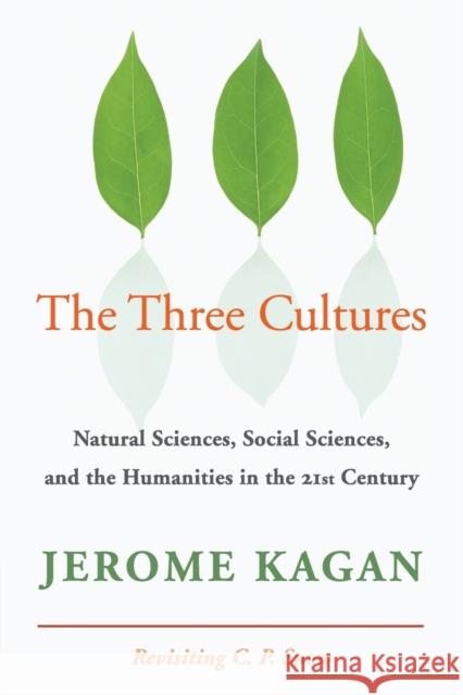 The Three Cultures: Natural Sciences, Social Sciences, and the Humanities in the 21st Century Kagan, Jerome 9780521732307  - książka