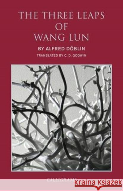 The Three Leaps of Wang Lun: A Chinese Novel Döblin, Alfred 9789622014701  - książka