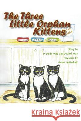 The Three Little Orphan Kittens D Rudd Wise, Rachel Wise 9781682568743 Litfire Publishing - książka