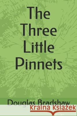 The Three Little Pinnets Douglas H. Bradshaw 9781687603937 Independently Published - książka