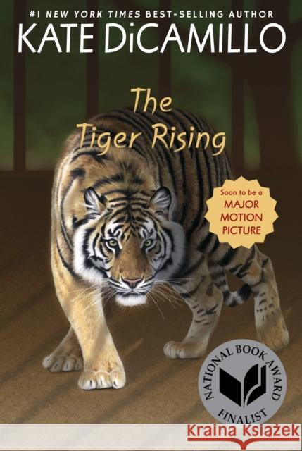 The Tiger Rising Kate DiCamillo 9780763680879 Candlewick Press (MA) - książka