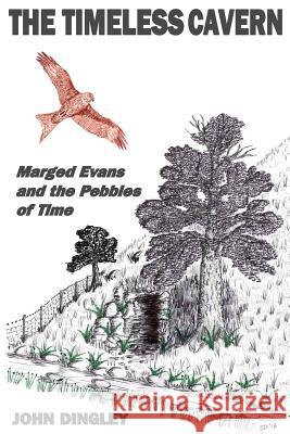 The Timeless Cavern: Marged Evans and the Pebbles of Time John Dingley 9780991442300 Gwenwst Books - książka
