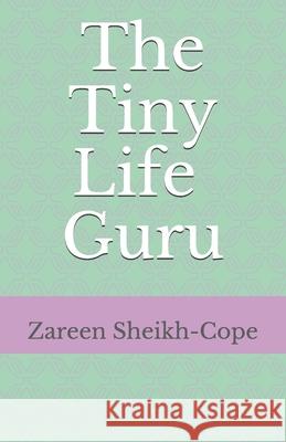 The Tiny Life Guru Niamh Anne Sheikh Byrne Zareen Sheikh-Cope 9780473498948 Burnt Out with Batwings - książka