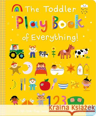 The Toddler Play Book of Everything! Sarah Creese Danielle Mudd 9781836422068 Make Believe Ideas - książka