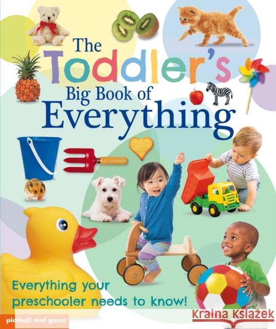 The Toddler's Big Book of Everything Picthall, Chez 9781907604041 Award Publications Ltd - książka