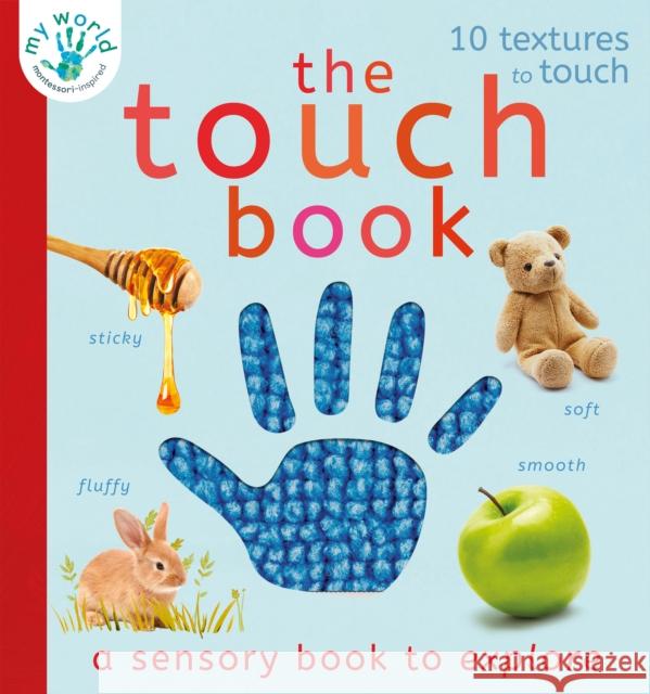 The Touch Book: a sensory book to explore Thomas Elliott 9781838910228 Little Tiger Press Group - książka