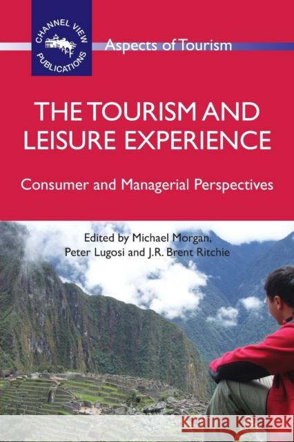 The Tourism and Leisure Experience: Consumer and Managerial Perspectives Morgan, Michael 9781845411480  - książka