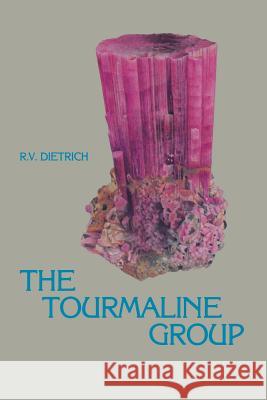 The Tourmaline Group Richard Dietrich 9781468480870 Springer - książka