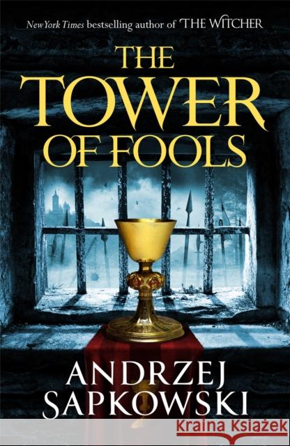 The Tower of Fools Andrzej Sapkowski 9781473226142 Orion Publishing Co - książka