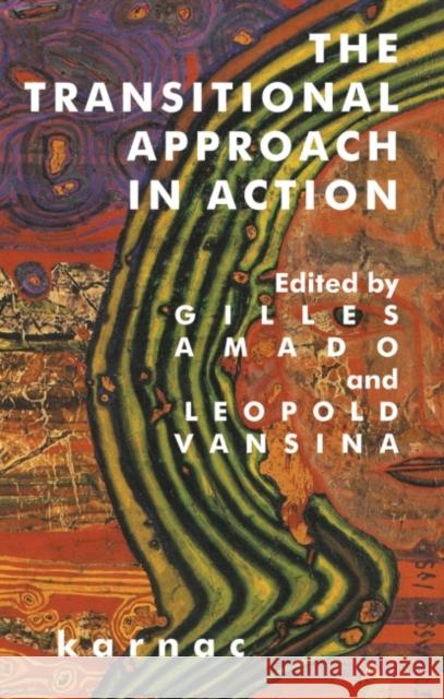 The Transitional Approach in Action Gilles Amado Leopold Vansina 9781855759121 Karnac Books - książka