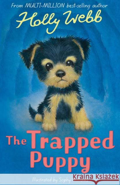 The Trapped Puppy Holly Webb 9781788955669 Little Tiger Press Group - książka