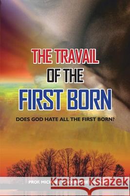 The Travail of the Firstborn: Does God Hate All the Firstborn? Prof Michael T. Adenitir 9781968667948 Prime Seven Media - książka