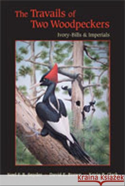The Travails of Two Woodpeckers: Ivory-Bills & Imperials Snyder, Noel F. R. 9780826346643 University of New Mexico Press - książka