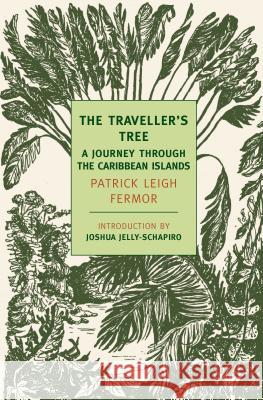 The Traveller's Tree: A Journey Through the Caribbean Islands Patrick Leig Joshua Jelly-Schapiro 9781590173800 New York Review of Books - książka