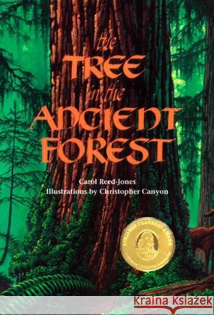 The Tree in the Ancient Forest Carol Reed-Jones Christopher Canyon 9781883220310 Dawn Publications (CA) - książka