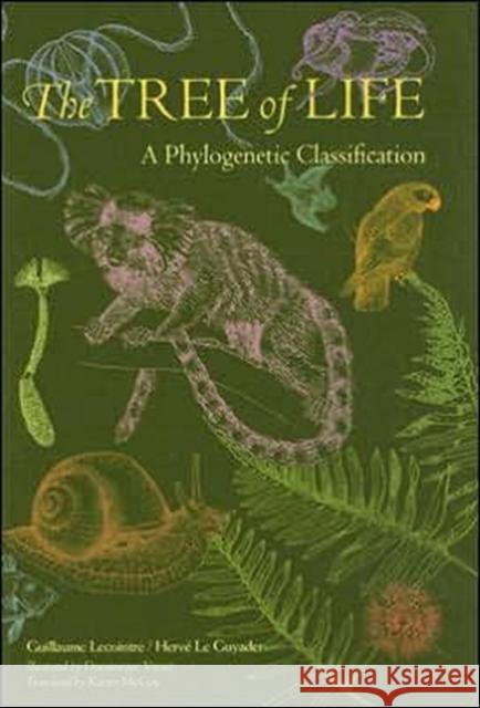 The Tree of Life: A Phylogenetic Classification Lecointre, Guillaume 9780674021839 Belknap Press - książka