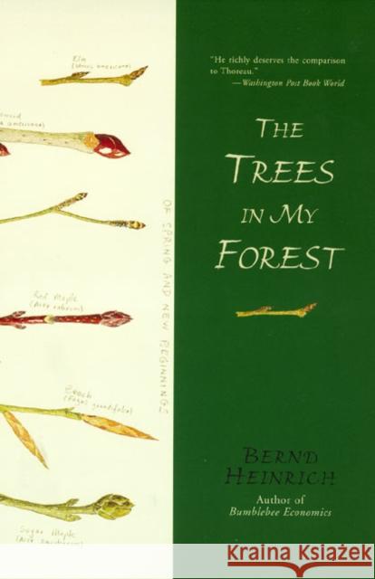The Trees in My Forest Bernd Heinrich 9780060929428 Ecco - książka