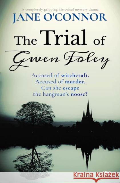 The Trial of Gwen Foley Jane O'Connor 9781913942984 Bloodhound Books - książka