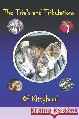 The Trials and Tribulations of Kittyhood Aphrodite and Darla Vasilas 9781643985053 Litfire Publishing - książka