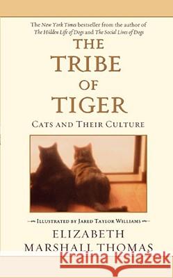 The Tribe of Tiger Thomas, Elizabeth Marshall 9780743426893 Pocket Books - książka