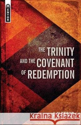 The Trinity And the Covenant of Redemption J. V. Fesko 9781781917657 Christian Focus Publications Ltd - książka