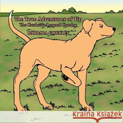 The True Adventures of Tip The Catahoula-Leopard Cowdog Barbara Gourley 9781463423162 Authorhouse - książka