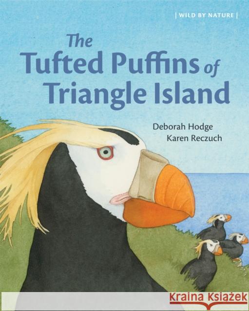 The Tufted Puffins of Triangle Island Deborah Hodge 9781773067186 Groundwood Books - książka