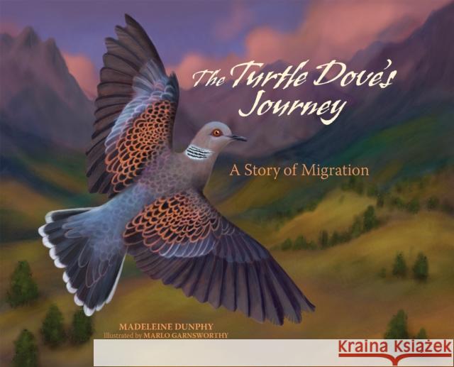 The Turtle Dove's Journey: A Story of Migration Dunphy Madeleine                         Garnsworthy Marlo 9781970039016 Web of Life Children's Books - książka