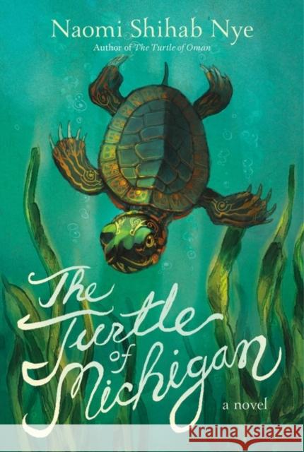 The Turtle of Michigan: A Novel Naomi Shihab Nye 9780063014169 HarperCollins Publishers Inc - książka