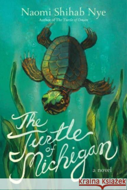 The Turtle of Michigan: A Novel Naomi Shihab Nye 9780063014176 HarperCollins Publishers Inc - książka