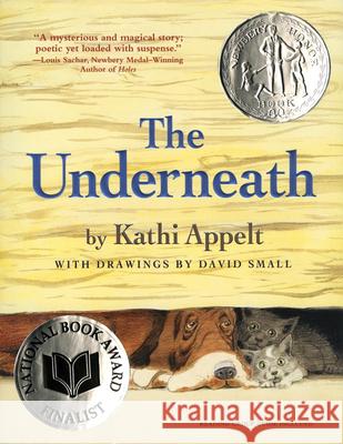 The Underneath Kathi Appelt David Small 9781416950592 Atheneum Books - książka