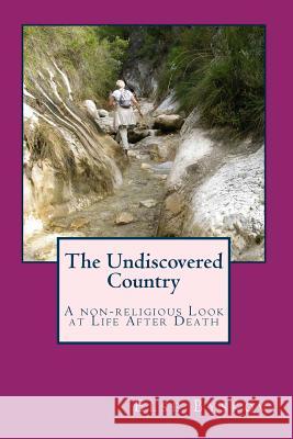 The Undiscovered Country: A non-religious Look at Life After Death Byskov, Else 9781453608821 Createspace - książka