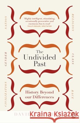 The Undivided Past : History Beyond Our Differences David Cannadine 9780141036908 PENGUIN GROUP - książka