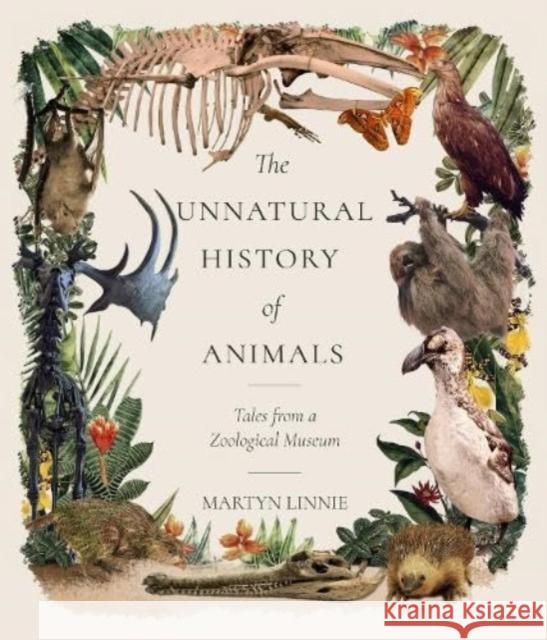 The Unnatural History of Animals: Tales from a Zoological Museum Martyn Linnie 9781786052025 Orpen Press - książka