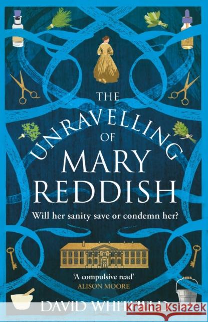 The Unravelling of Mary Reddish: a powerful historical novel about a woman unjustly committed to an asylum David Whitfield 9781917163507 Legends Press - książka