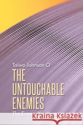 The Untouchable Enemies: The Enemy You Know Taiwo Johnson O. 9781496995131 Authorhouse - książka