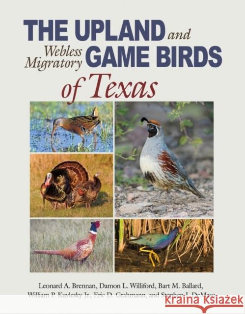 The Upland and Webless Migratory Game Birds of Texas Leonard A. Brennan Damon L. Williford Bart M. Ballard 9781623494988 Texas A&M University Press - książka