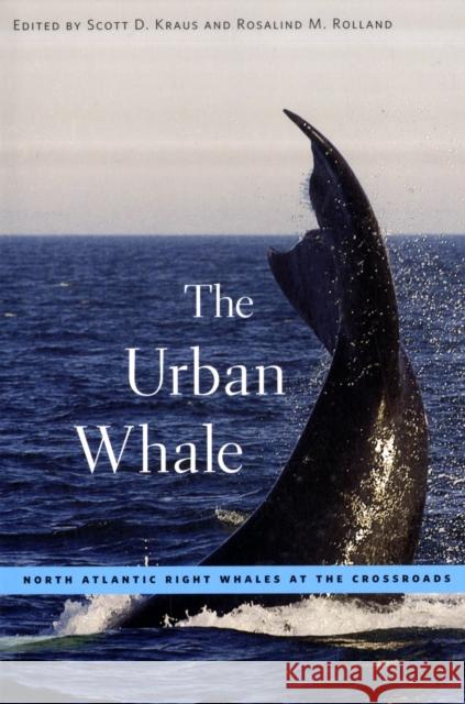 The Urban Whale: North Atlantic Right Whales at the Crossroads Kraus, Scott D. 9780674034754 Harvard University Press - książka