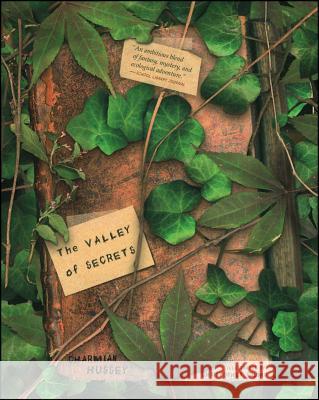 The Valley of Secrets Charmian Hussey Christopher Crump 9781416900153 Simon Pulse - książka