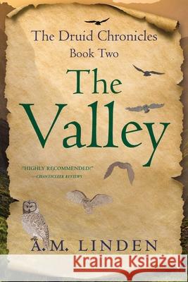 The Valley: The Druid Chronicles, Book Two A.M. Linden 9781647424091 She Writes Press - książka
