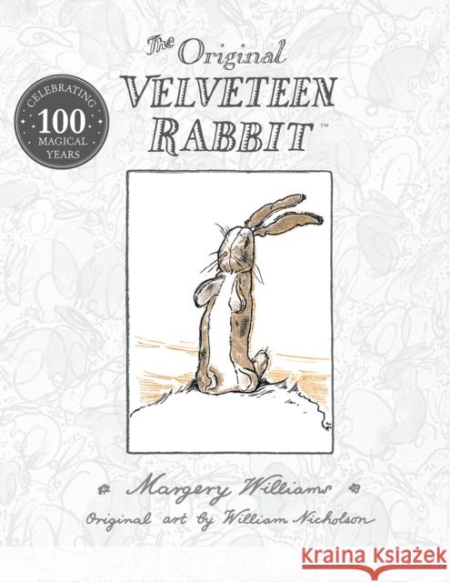 The Velveteen Rabbit Williams, Margery 9781405285346 HarperCollins Publishers - książka