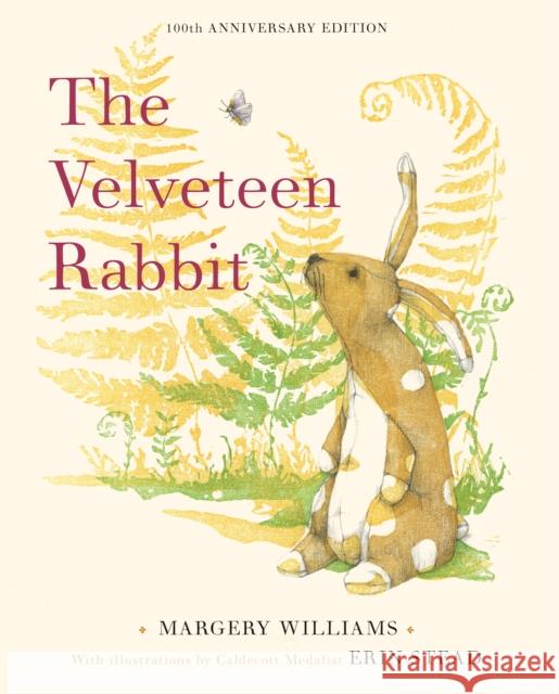 The Velveteen Rabbit: 100th Anniversary Edition Williams, Margery 9780593382127 Doubleday Books for Young Readers - książka