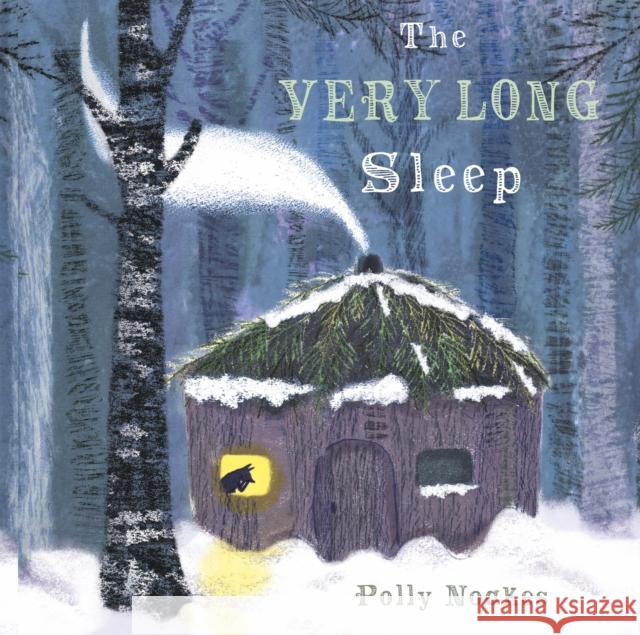 The Very Long Sleep Polly Noakes Polly Noakes 9781786281289 Child's Play International Ltd - książka